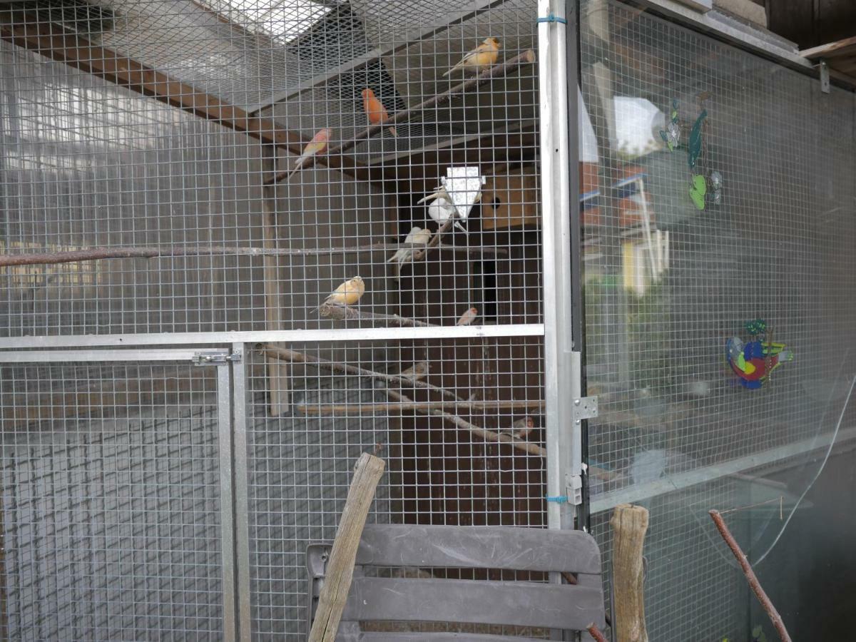 Zimmervermietung Am Teutoburger Wald Lage  Zewnętrze zdjęcie
